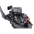 Лодочный мотор ALLFA CG T9.9 MAX (326 см2) 9.9 л.с. двухтактный (синий, зеленый, красный)